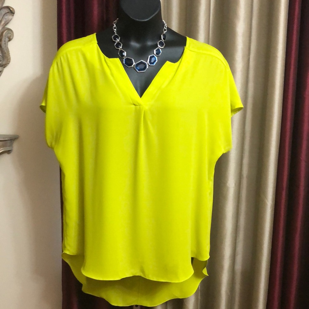 Ashley Stewart Tunic